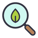 Crop Disease Detection